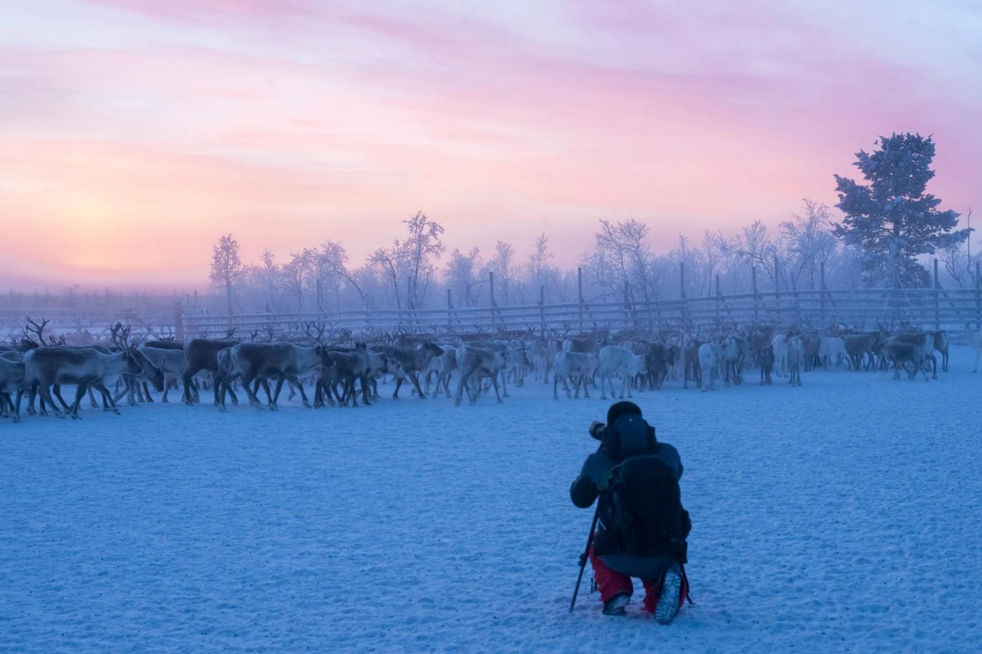 Nivunki Village Muonio Kültér fotó