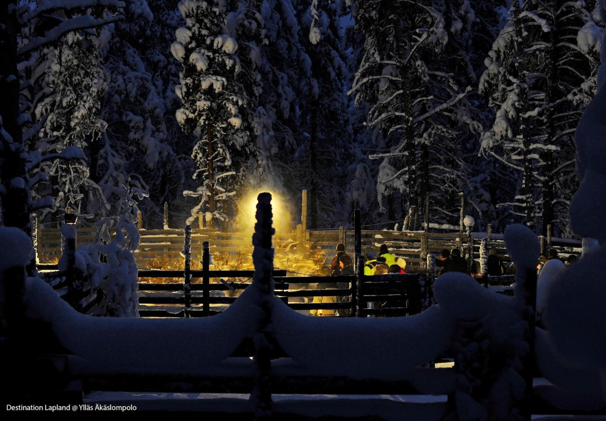 Nivunki Village Muonio Kültér fotó
